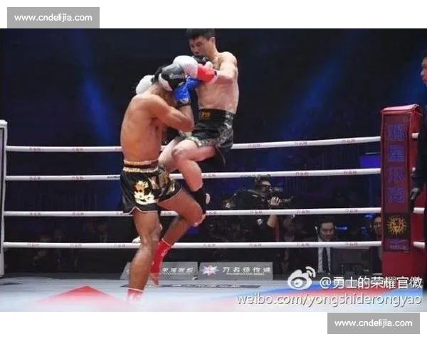 小舅子擂台激战！罗唐场外急到 “罚站”，网友：姐夫比选手还紧张！